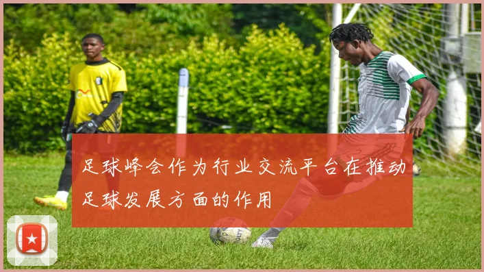 足球峰会作为行业交流平台在推动足球发展方面的作用