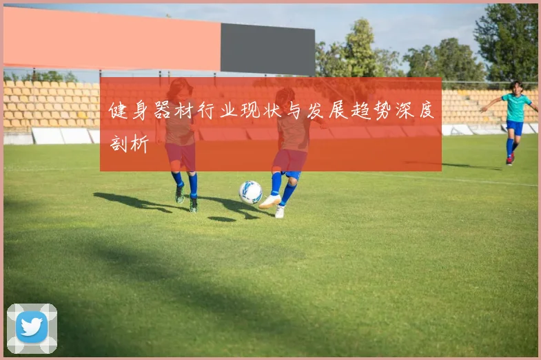 健身器材行业现状与发展趋势深度剖析