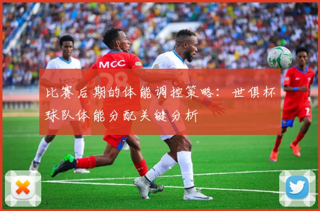 比赛后期的体能调控策略:世俱杯球队体能分配关键分析