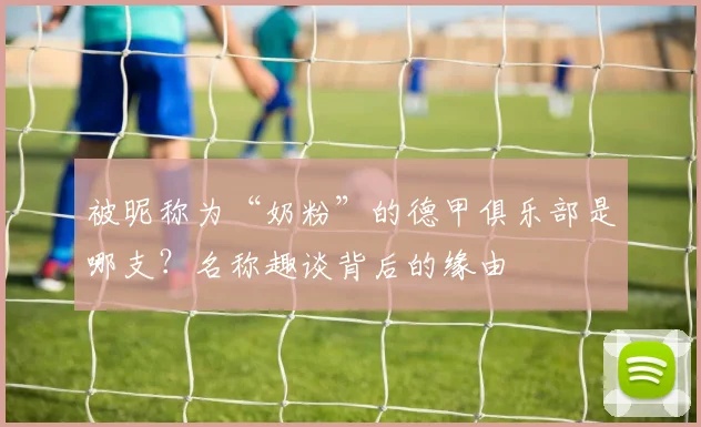 被昵称为“奶粉”的德甲俱乐部是哪支？名称趣谈背后的缘由