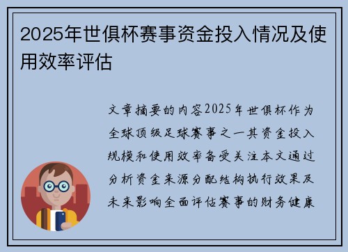 2025年世俱杯赛事资金投入情况及使用效率评估